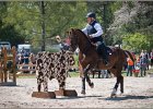 Pferd International 056